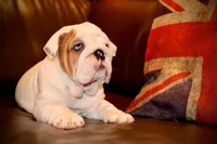 processed/d7bf75cd-fe6a-422e-99ab-a27e60633075/facility/4aeeca13-3053-4653-8bda-9737e08f0b82