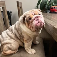 processed/d7bf75cd-fe6a-422e-99ab-a27e60633075/facility/513464fe-9223-4001-a4e5-83fe607e22bf