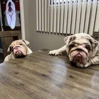 processed/d7bf75cd-fe6a-422e-99ab-a27e60633075/facility/7fcd5450-7286-4991-9f65-af96ab9d3264