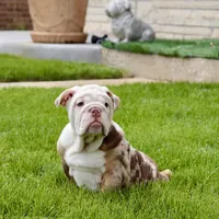 processed/d7bf75cd-fe6a-422e-99ab-a27e60633075/facility/8465d7b3-761f-4b16-87cd-0718965d31d1