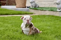 processed/d7bf75cd-fe6a-422e-99ab-a27e60633075/facility/8465d7b3-761f-4b16-87cd-0718965d31d1