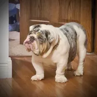 processed/d7bf75cd-fe6a-422e-99ab-a27e60633075/facility/9f67191b-dd5f-43cc-85ef-9006de12e2eb