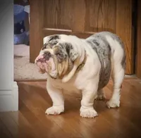 processed/d7bf75cd-fe6a-422e-99ab-a27e60633075/facility/9f67191b-dd5f-43cc-85ef-9006de12e2eb