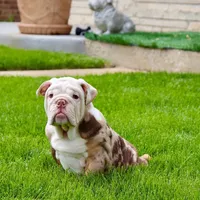 processed/d7bf75cd-fe6a-422e-99ab-a27e60633075/facility/bbced87a-cafd-403c-a16d-5a106c4cc228