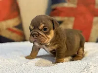 processed/d7bf75cd-fe6a-422e-99ab-a27e60633075/listing/1ef32578-9b23-4b9f-883c-27f3eff92df7/0a73d8ba-873f-466c-aac7-a2b5e90bb576