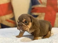 processed/d7bf75cd-fe6a-422e-99ab-a27e60633075/listing/1ef32578-9b23-4b9f-883c-27f3eff92df7/185e2a93-7c6a-4412-a60c-5520c9ba80a4