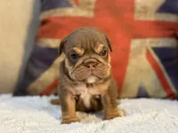 processed/d7bf75cd-fe6a-422e-99ab-a27e60633075/listing/1ef32578-9b23-4b9f-883c-27f3eff92df7/3115fc39-133e-4aa8-810f-42d1f791796b