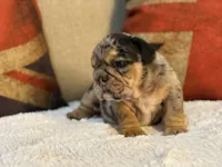 processed/d7bf75cd-fe6a-422e-99ab-a27e60633075/listing/236f103f-9b2f-4dbb-8836-08eb6dbbd272/0dd5771c-530c-468d-9387-1317b2857ea3