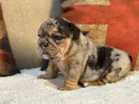 processed/d7bf75cd-fe6a-422e-99ab-a27e60633075/listing/236f103f-9b2f-4dbb-8836-08eb6dbbd272/a48c75d9-a9c8-4409-bc23-82c768f97224