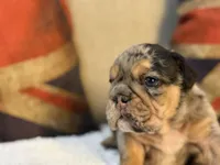 processed/d7bf75cd-fe6a-422e-99ab-a27e60633075/listing/236f103f-9b2f-4dbb-8836-08eb6dbbd272/b6049499-6ac9-41e3-84c1-3bbc139a1817