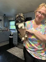 Georgia Boy 1, a male Maltipoo for sale in Carlton, GA – Photo 6 of 7