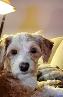 processed/d7c2dcf0-4a05-432c-b55a-f28234e89132/facility/c145b7cb-354c-4859-98a1-e93a4bedf2c3