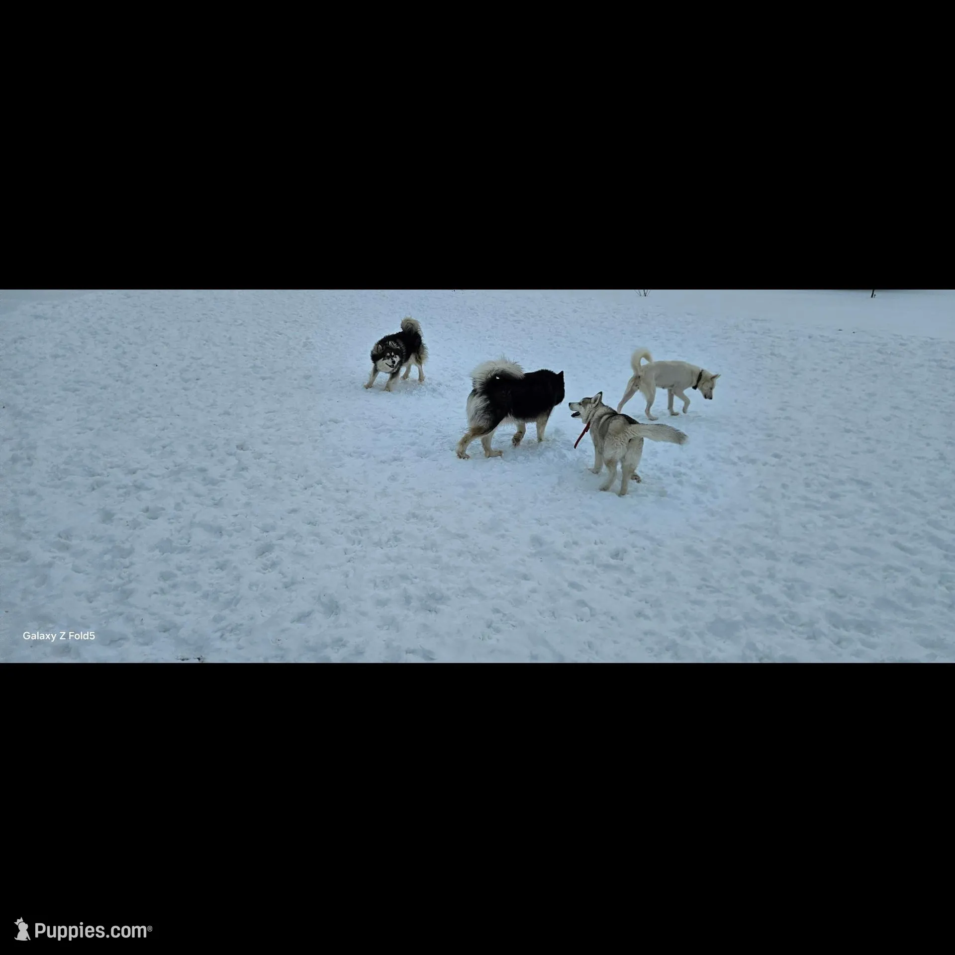 processed/d7c8658e-3bdc-4694-9def-b34725762c5d/facility/0c634a20-d1a3-4117-afa4-cf0025bc0e1f