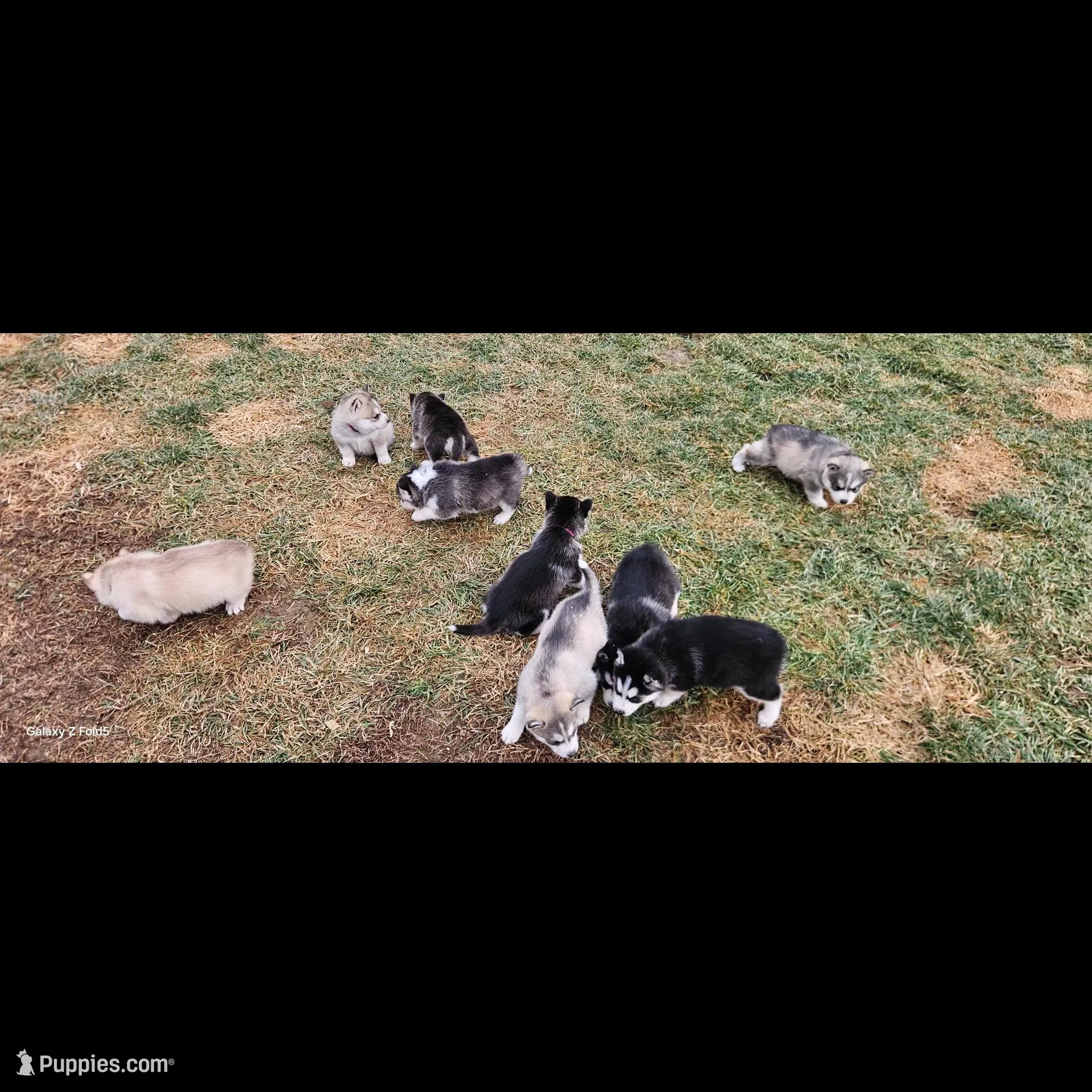 processed/d7c8658e-3bdc-4694-9def-b34725762c5d/facility/7fcab301-89cd-4ba1-bf91-9d7072c75e23