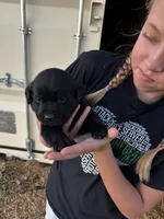 processed/d7d2a2bb-679b-4eef-941d-c1a43e53958a/listing/c0d476ef-0ebe-4ebb-a6b7-e88e68b18511/047aacc1-1232-462d-af2a-7f9bc94c3527