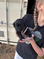 processed/d7d2a2bb-679b-4eef-941d-c1a43e53958a/listing/c0d476ef-0ebe-4ebb-a6b7-e88e68b18511/0510a32e-e642-424e-8182-89a15bbce5d3