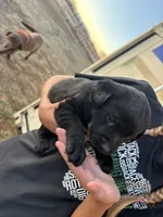 processed/d7d2a2bb-679b-4eef-941d-c1a43e53958a/listing/c0d476ef-0ebe-4ebb-a6b7-e88e68b18511/bed09dc1-41dd-426f-a501-08bfae8adebe