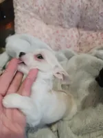 processed/d7e5d5c5-4585-45ef-839b-e246055ef80b/listing/83ae59c8-f55f-4a1a-b019-cf1e6681f30b/0ed3cb95-eb0a-4990-964f-66635d121f43