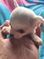 processed/d7e5d5c5-4585-45ef-839b-e246055ef80b/listing/83ae59c8-f55f-4a1a-b019-cf1e6681f30b/178f76f2-5738-4a42-8ade-be7e955b1844