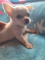 processed/d7e5d5c5-4585-45ef-839b-e246055ef80b/listing/83ae59c8-f55f-4a1a-b019-cf1e6681f30b/1c4c64ce-2054-4fd2-8508-04d85b47506b