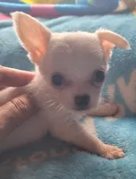 processed/d7e5d5c5-4585-45ef-839b-e246055ef80b/listing/83ae59c8-f55f-4a1a-b019-cf1e6681f30b/2219b247-93fe-4d63-8814-53c27b24b3af