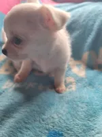 processed/d7e5d5c5-4585-45ef-839b-e246055ef80b/listing/83ae59c8-f55f-4a1a-b019-cf1e6681f30b/91c5e27d-8ad2-443d-a4f7-f7fd2c48a0e1