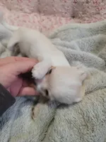 processed/d7e5d5c5-4585-45ef-839b-e246055ef80b/listing/83ae59c8-f55f-4a1a-b019-cf1e6681f30b/95c38360-8bb0-45aa-8c5a-1e3e26b7f126