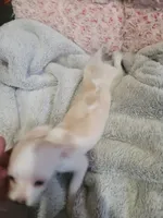 processed/d7e5d5c5-4585-45ef-839b-e246055ef80b/listing/83ae59c8-f55f-4a1a-b019-cf1e6681f30b/a94b0b39-ec80-450d-b0cc-cf1199557270