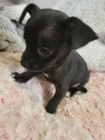 processed/d7e5d5c5-4585-45ef-839b-e246055ef80b/listing/9058e631-6bcf-4a5e-9642-68857b8b0a5c/4ac97120-8209-4c6b-903d-b034adc2132e