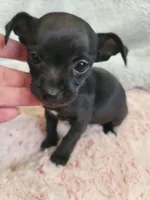 processed/d7e5d5c5-4585-45ef-839b-e246055ef80b/listing/9058e631-6bcf-4a5e-9642-68857b8b0a5c/d834c512-bf70-46e4-8220-83987033cb68