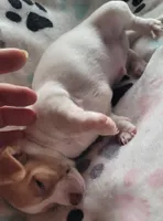 processed/d7e5d5c5-4585-45ef-839b-e246055ef80b/listing/add9a007-e381-4d26-a7e5-9e694ddb85e0/27c16fbe-7982-4a65-a97e-82d335ed2bef