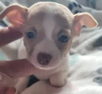 processed/d7e5d5c5-4585-45ef-839b-e246055ef80b/listing/add9a007-e381-4d26-a7e5-9e694ddb85e0/3bb8fe74-ce39-404f-af01-0fe1869c519f