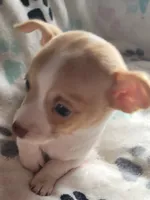 processed/d7e5d5c5-4585-45ef-839b-e246055ef80b/listing/add9a007-e381-4d26-a7e5-9e694ddb85e0/5c1d632b-913c-4fcd-a238-ccfef3a06e3e