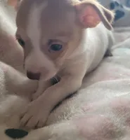 processed/d7e5d5c5-4585-45ef-839b-e246055ef80b/listing/add9a007-e381-4d26-a7e5-9e694ddb85e0/a476f047-50da-46f1-b200-d56f3c89a59e