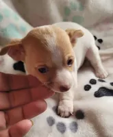 processed/d7e5d5c5-4585-45ef-839b-e246055ef80b/listing/add9a007-e381-4d26-a7e5-9e694ddb85e0/a9846825-8e21-49a9-8d38-3b08cf9089ba