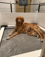 processed/d7e7f7c8-dd4b-4fdf-851f-3ea20a88a408/listing/2082848a-b994-4478-a3da-5379ffda76fe/0bfa4100-a11a-4d1e-9f27-0b1d594643a0