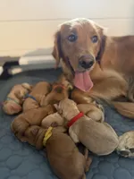 processed/d7e7f7c8-dd4b-4fdf-851f-3ea20a88a408/listing/2082848a-b994-4478-a3da-5379ffda76fe/5edfa5f6-168d-4192-95d1-be940730ad3f