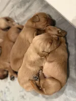 processed/d7e7f7c8-dd4b-4fdf-851f-3ea20a88a408/listing/222cd871-fbd9-4c4f-8191-961f97ead8d4/6768de2d-9bac-4068-9aa9-56b10f32f38b