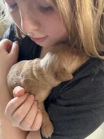 processed/d7e7f7c8-dd4b-4fdf-851f-3ea20a88a408/listing/7bf37651-007b-4f9a-91a1-bc616d2d9adc/b1b1041d-120b-450f-aff4-5d66eca7676b