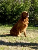 processed/d7e7f7c8-dd4b-4fdf-851f-3ea20a88a408/listing/7bf37651-007b-4f9a-91a1-bc616d2d9adc/d7ed593b-71dc-4220-9eb5-3698f1867d92