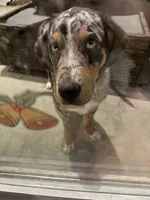 processed/d7ec3fe2-faf4-4267-a439-c764ac6c5230/listing/5c1c5908-58de-4543-8260-c9d61d91b98f/c85cc17a-3f35-4b72-ba86-73720fec94fc