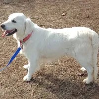 processed/d7f0e7f9-e41d-4dfd-9a57-087f6f873d4b/facility/40e8b425-07ef-40d1-9657-2cb8c0cb84d9