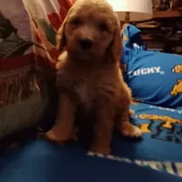 processed/d7f0e7f9-e41d-4dfd-9a57-087f6f873d4b/facility/41382f40-5c00-4e8f-8d29-ef8c01088e47