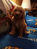 processed/d7f0e7f9-e41d-4dfd-9a57-087f6f873d4b/facility/41382f40-5c00-4e8f-8d29-ef8c01088e47