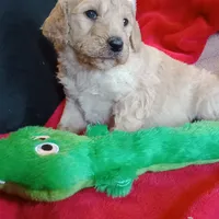 processed/d7f0e7f9-e41d-4dfd-9a57-087f6f873d4b/facility/423197c2-461a-4705-bb9b-42a3332051fb