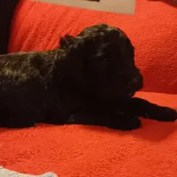 processed/d7f0e7f9-e41d-4dfd-9a57-087f6f873d4b/facility/59cc8fed-aa3e-4a01-9b18-e9ceab9e1203