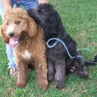 processed/d7f0e7f9-e41d-4dfd-9a57-087f6f873d4b/facility/afe53522-952e-4d30-9448-4c4104a79612