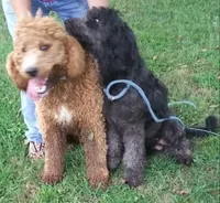 processed/d7f0e7f9-e41d-4dfd-9a57-087f6f873d4b/facility/afe53522-952e-4d30-9448-4c4104a79612