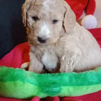 processed/d7f0e7f9-e41d-4dfd-9a57-087f6f873d4b/facility/bf871b82-f045-4999-bb93-357f983a6474