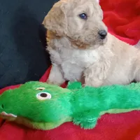 processed/d7f0e7f9-e41d-4dfd-9a57-087f6f873d4b/facility/c6524e7f-d670-4010-b4dc-a22394526837